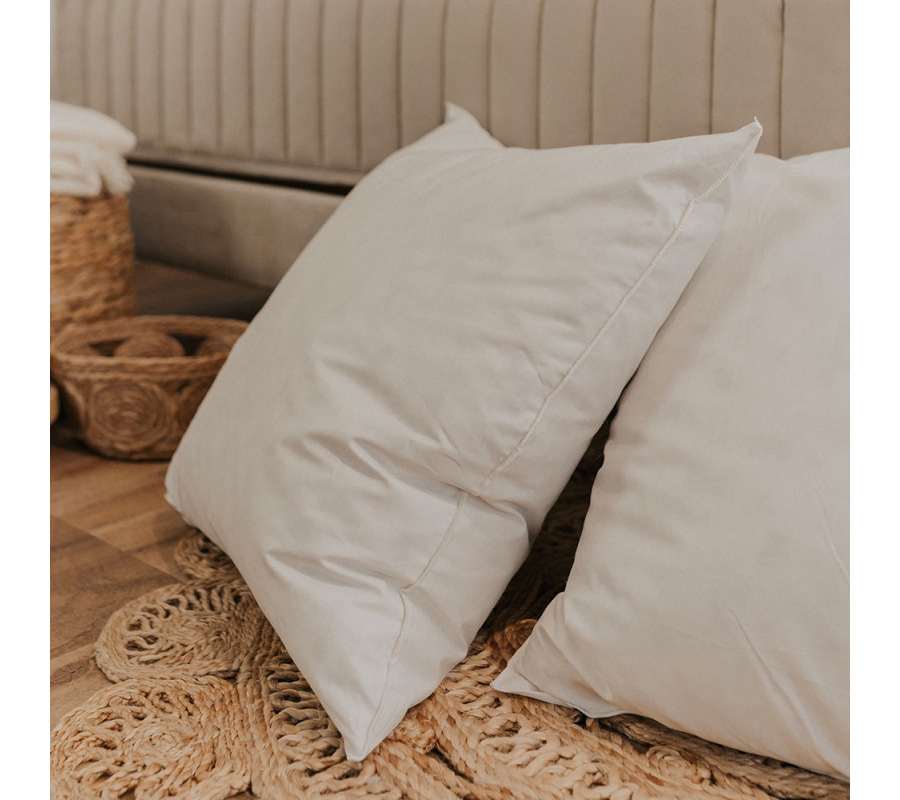 Acheter des oreillers en plumes et duvet en ligne ⋆