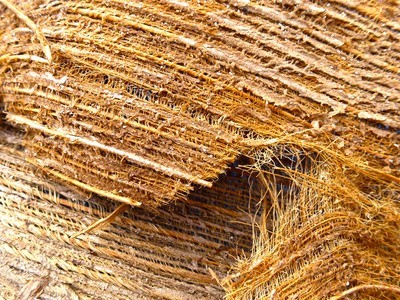 Fibres naturelles de coco biologique